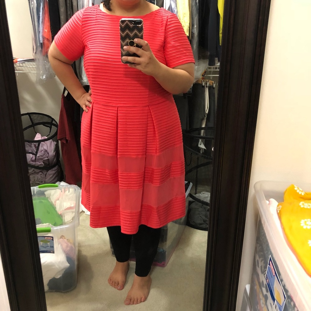 Taylor Dresses Pintucked Fit & Flare Dress NWT - Picture 4 of 8